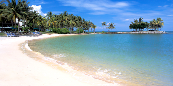 Ferry Services & Boat Charters